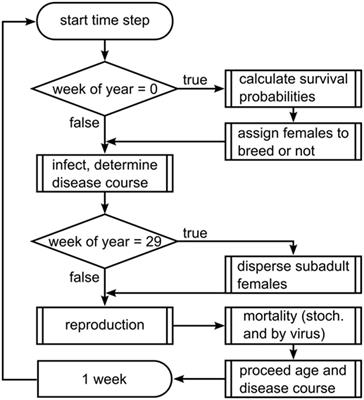 Relevance of Indirect Transmission for Wildlife Disease Surveillance